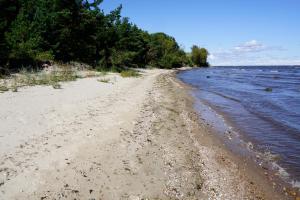 a sandy beach next to a body of water at Engure BeachHouse in Engure +40 photos