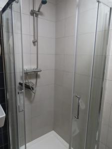 a shower with a glass door in a bathroom at The Stable Loft at Troysgate in Kilkenny
