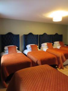 a room with four beds with orange sheets at The Stable Loft at Troysgate in Kilkenny