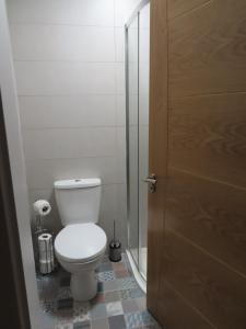 a bathroom with a toilet and a glass shower door at The Stable Loft at Troysgate in Kilkenny