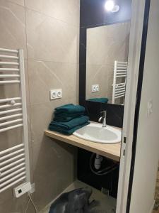 a bathroom with a sink and a mirror at Appartement Le Pellerin 2ch et 2sdb in Le Pellerin +1 photo