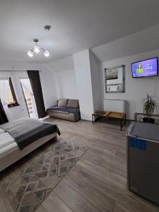 ein Schlafzimmer mit einem Bett, einer Couch und einem Fernseher in der Unterkunft Vila SOFIA in Haţeg