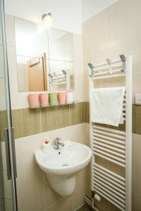 a bathroom with a sink and a mirror at Pension U Blinků in Dolní Bečva +28 photos
