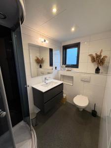 a bathroom with a sink and a toilet at Casa Rosa - Sfeervolle cottage met jacuzzi in Erm +20 photos