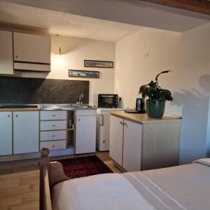 a kitchen with white cabinets and a potted plant at Appartamento Genzianella Monolocale in Cavalese