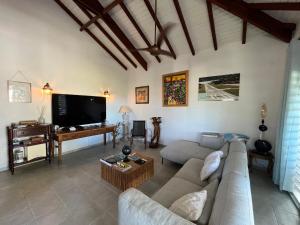 a living room with a couch and a flat screen tv at LEN'HOUSE in Oyster Pond