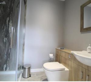 a bathroom with a toilet and a sink and a shower at Grandholm Crescent in Aberdeen