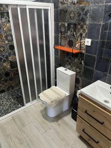 a bathroom with a toilet and a shower and a sink at Casa Sahar in Arcos de la Frontera