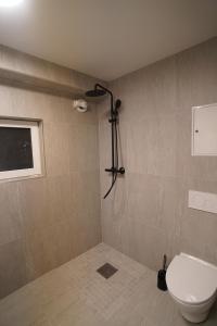 a bathroom with a toilet and a shower at Cherry Rooms in Tromsø