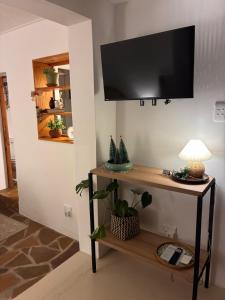 a television on a wall with a table with a lamp at Seaside Garden Cottage Schoenmakerskop in Gqeberha