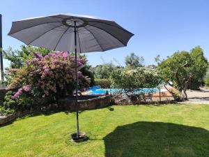 a black umbrella in the grass next to a pool at Costas Guests in Sardoal