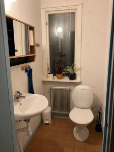 a bathroom with a toilet and a sink and a window at Large family housing in Mariannelund +20 photos