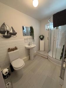 a bathroom with a toilet and a sink and a shower at Sunset Sands in Deganwy +34 photos