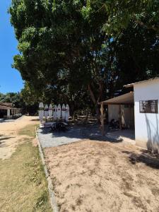 a group of chairs and a table under a tree at Itaúna Surf Camping in Saquarema