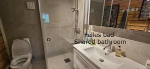 a bathroom with a sink and a toilet and a shower at Smia cabin , A Unique Rustic Hideaway in Lii +24 photos