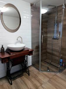 a bathroom with a sink and a shower at Salaš 1860 - Palić in Palić +36 photos