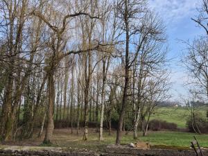 a group of trees with a bench in a field at Chez Helje in Les Essards-Taignevaux