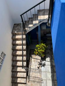 an overhead view of a stairway with two potted plants at Flor do Mar - Hospedaria in Santa Cruz