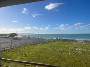 a herd of sheep grazing on the grass near the ocean at Boardwalk 11 in Struisbaai