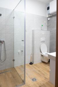 a bathroom with a shower with a toilet and a sink at Csaba Vendégház in Izsák +71 photos