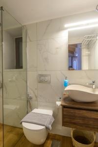 a bathroom with a sink and a toilet and a shower at Voidοkilia rooms in Petrochori