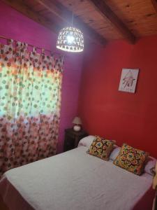 a bedroom with a bed and a pink wall at Cabaña bruji in Tigre