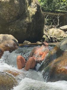 a group of toyicans in the water on some rocks at Hogar na mata in Ubatuba