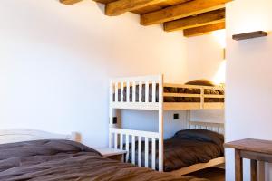 a bedroom with two bunk beds and a ladder at Chalet Burrino in Frabosa Soprana
