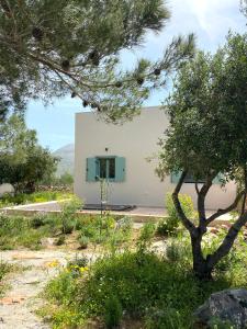 a white building with a window in a garden at Villa Tsakalaki in Stavríon