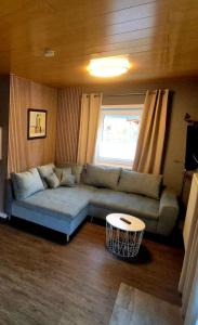 a living room with a couch and a table at harzholiday in Rottleberode