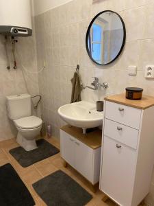 a bathroom with a toilet and a sink and a mirror at Apartmán Na Pavlači in Velký Třebešov