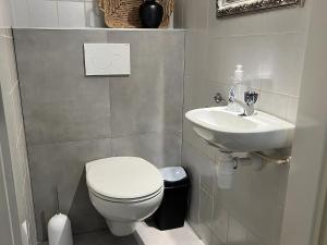 a bathroom with a toilet and a sink at Aquaronde 120 in Lemmer +12 photos