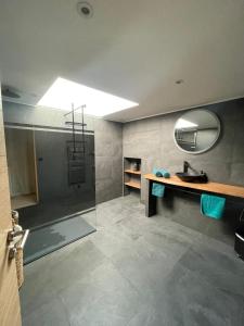 a bathroom with a sink and a mirror and a shower at la grange de Guew in Guewenheim +15 photos