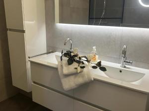 a bathroom with a sink and a towel at Aquaronde 110 in Lemmer +16 photos