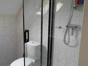 a bathroom with a toilet and a glass shower at Park De Marol Grutto 8 in Lemmer +18 photos