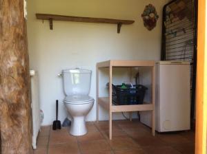a bathroom with a white toilet in a room at Le RepAire de La SalAmandre in Ivrey