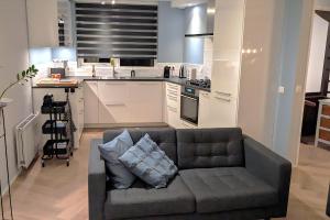 a living room with a couch and a kitchen at Park Brekkense Wiel 103 in Lemmer