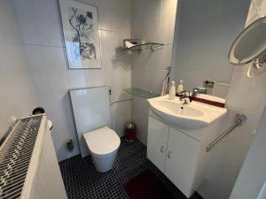 a small bathroom with a sink and a toilet at Park Brekkense Wiel 037 in Lemmer +11 photos