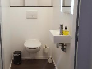 a white bathroom with a toilet and a sink at Park De Markol River House in Lemmer +7 photos