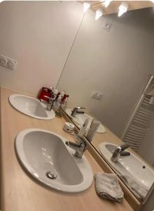 a bathroom with two sinks and a large mirror at City centre appartement en colocation in Chambéry