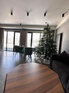 a living room with a christmas tree and a couch at X2 4Rest Bakuriani in Bakuriani