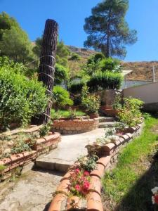 a garden with flowers and plants in a yard at Villa Pachita (por habitaciones) in Alhama de Aragón