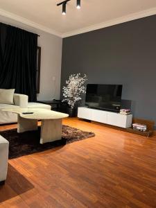 a living room with a couch and a large television at Tara Home 44 in Sheikh Zayed
