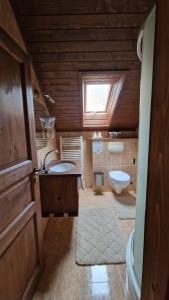 a bathroom with a sink and a toilet at Pensiunea Terra Nova in Brezoi +62 photos