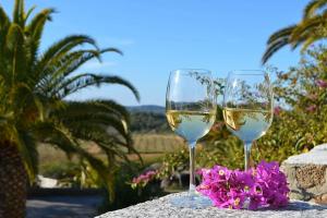 two glasses of white wine sitting on a table with flowers at Mas Boronat Resort in Salomó