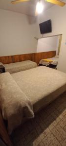 a bedroom with two beds and a flat screen tv at Hotel Necochea in Mendoza