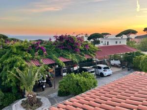 a view from the roof of a building with flowers at Villa Rosa in Torre del Greco