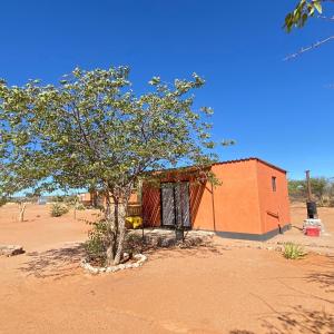 a small building and a tree in the desert at Petrified forest restcamp in Khorixas