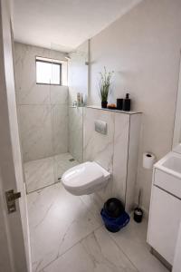 a white bathroom with a toilet and a shower at Marina Views Simon's Town, Near Long Beach in Simonʼs Town +48 photos
