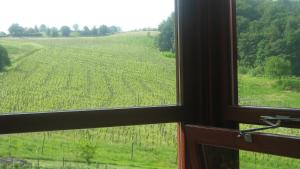 a view through a window of a grassy field at Tourist Farm Joannes in Maribor